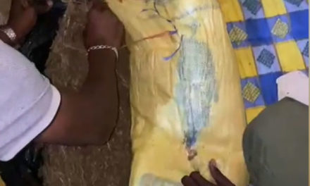 Brigade commerciale de Keur Ayip : des « mér-gaddu » utilisés comme moyens de cache de chanvre indien