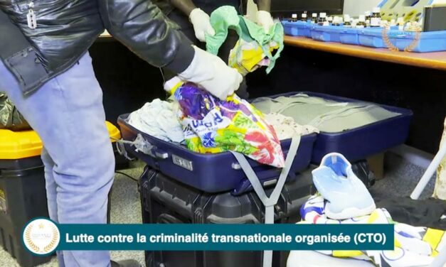 Lutte contre la criminalité transnationale organisée (CTO)