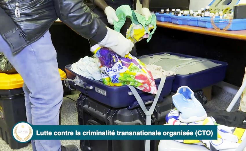 Lutte contre la criminalité transnationale organisée (CTO)