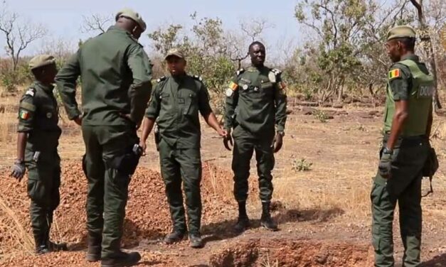04 Avril 2022 : Du Sud au Sud-Est, les agents sur tous les fronts