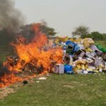 Journée internationale de la lutte contre la drogue : La Subdivision des Douanes de Fatick a procédé ce mardi 28 juin à la destruction de près de 4 tonnes de chanvre indien
