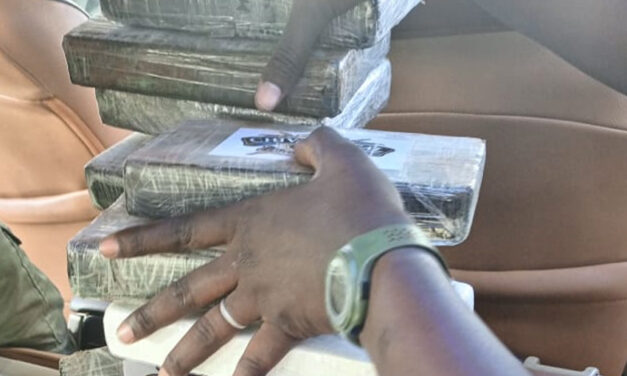 Lutte contre le trafic international de drogues : 25 kg de cocaïne pure saisis à Kaolack