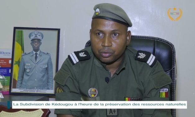 La Subdivision de Kédougou à l’heure de la préservation des ressources naturelles