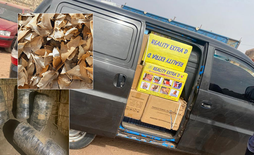 Des médicaments, du chanvre indien et des ailerons de requin saisis sur le littoral et au centre du pays