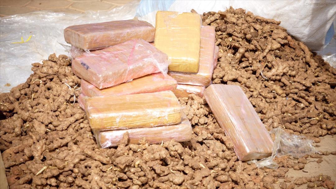 Saisie inédite de cocaïne à l’AIBD