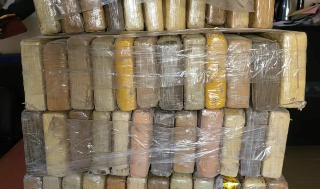 Lutte contre le trafic illicite
