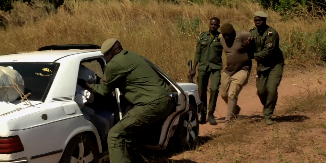 Lutte contre le trafic de drogues : Les Douanes sénégalaises sur tous les fronts