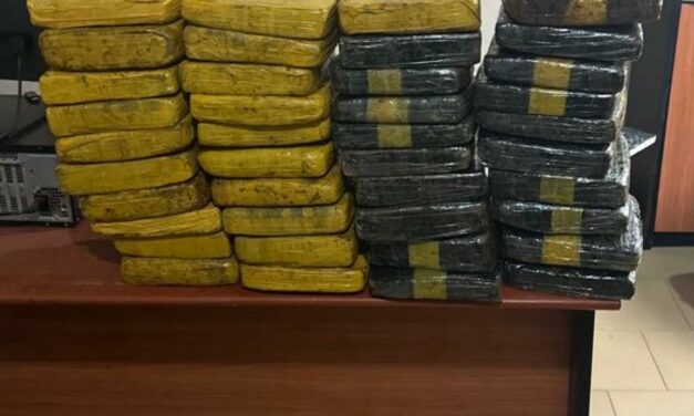 Lutte contre les trafics illicites