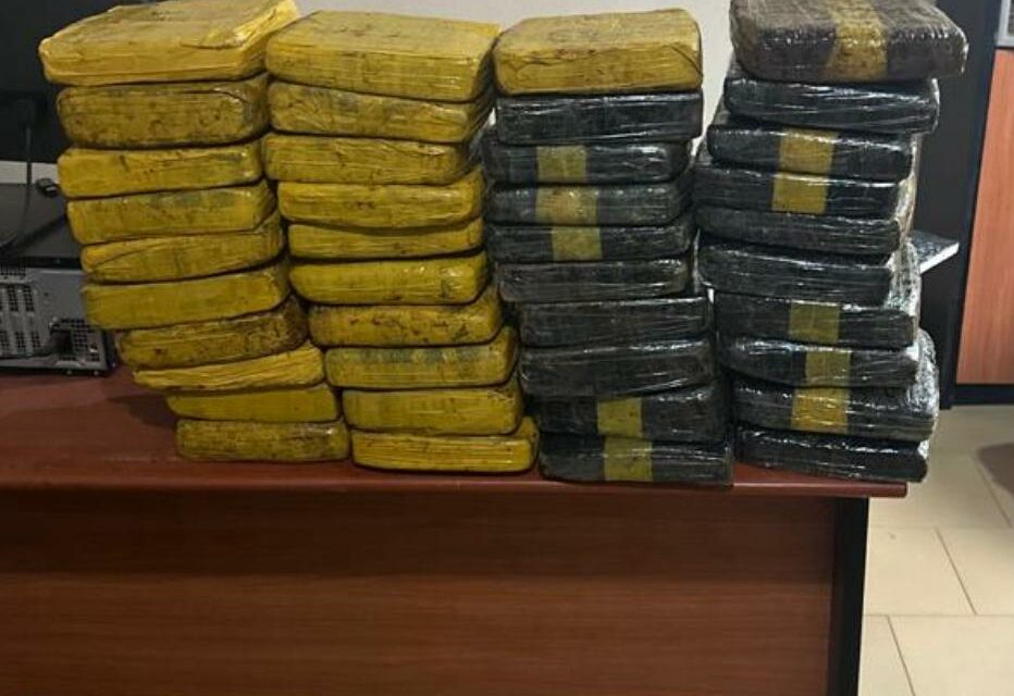 Lutte contre les trafics illicites