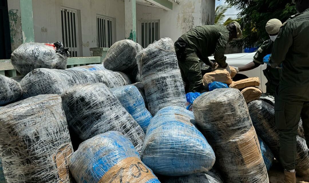 Lutte contre le trafic de drogues : 845 kg de chanvre indien saisis au large de Djifère