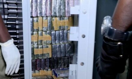 Lutte contre le trafic international de drogues : Les Douanes et la Gendarmerie mettent la main sur 643 paquets de cocaïne