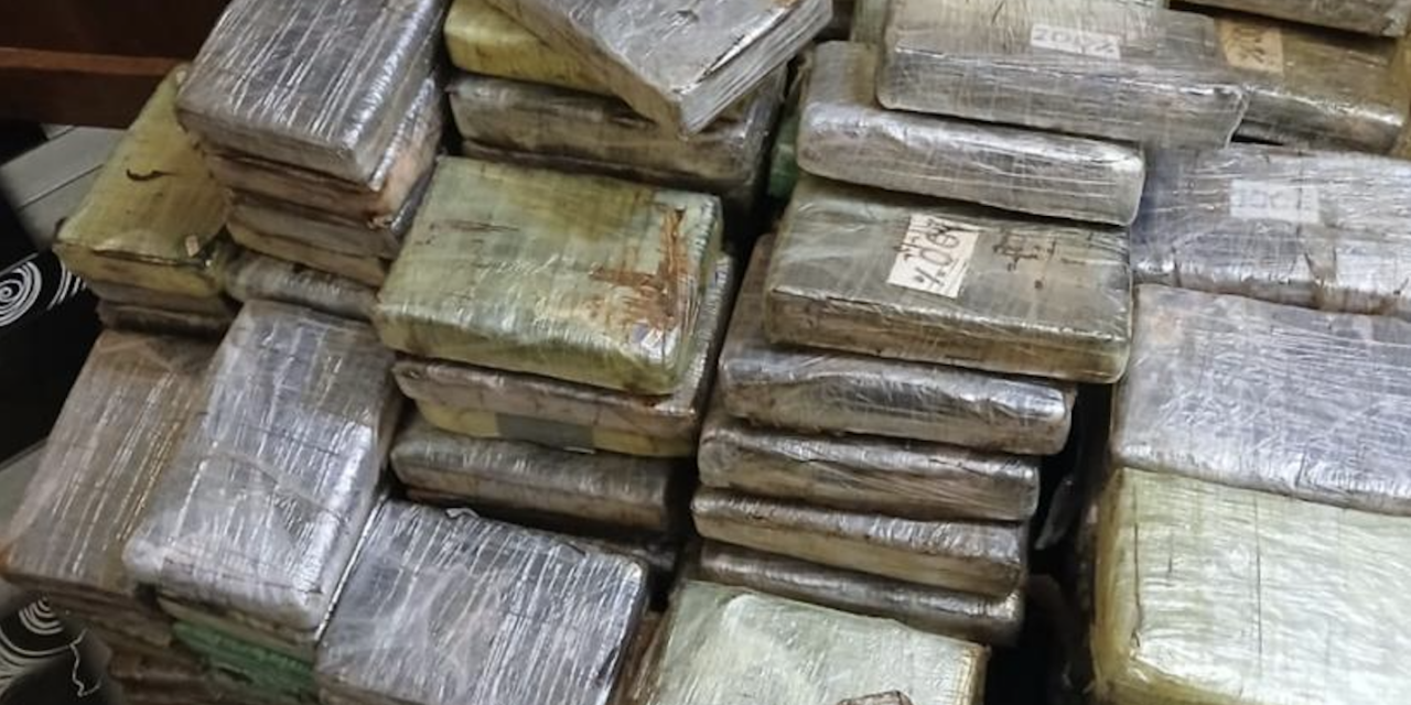 Saisie de 240 plaquettes de cocaïne à Kalifourou