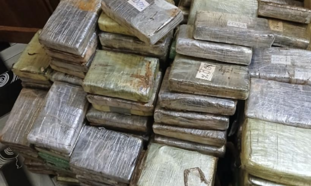 Saisie de 240 plaquettes de cocaïne à Kalifourou