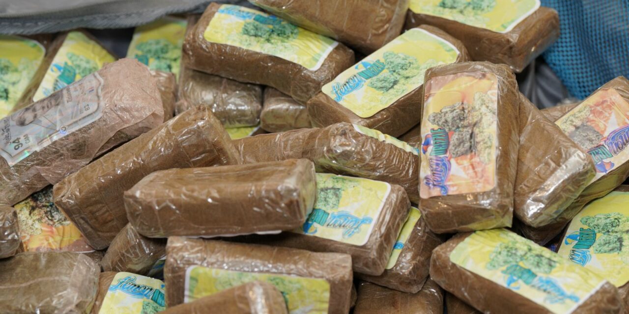 Lutte contre le trafic international de drogues: Nouvelle saisie de haschich à l’AIBD