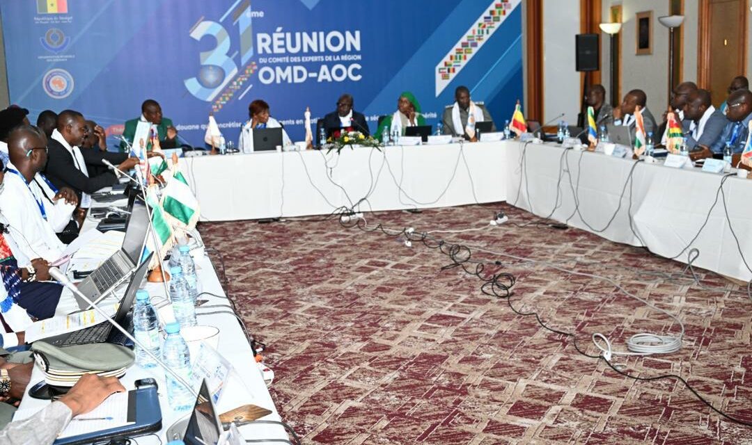 REGION OMD-AOC : Les experts issus des 24 pays de l’OMD-AOC en conclave à Dakar