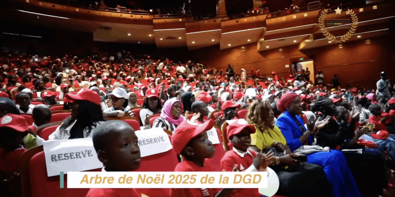 Arbre de Noël 2025 de la DGD