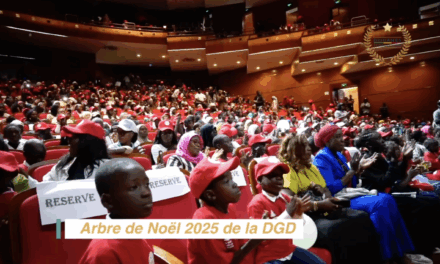 Arbre de Noël 2025 de la DGD