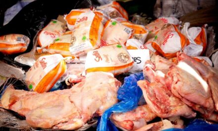 Lutte contre les trafics illicites : D’importantes quantités de cuisses de poulet et de chanvre indien saisies par les Douanes