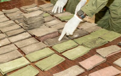 Suite de l’Opération « Coup de poing » contre la criminalité financière : Une nouvelle saisie de billets noirs d’une contrevaleur d’un milliard de francs CFA réalisée au Centre du pays.