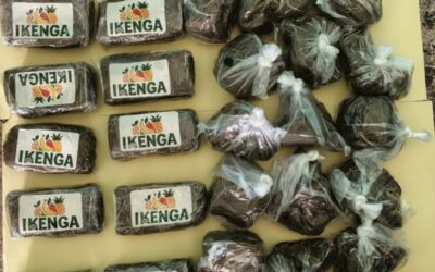 Lutte contre le trafic international de drogues : La Brigade commerciale des Douanes de Karang met la main sur 03,5 Kg de haschich