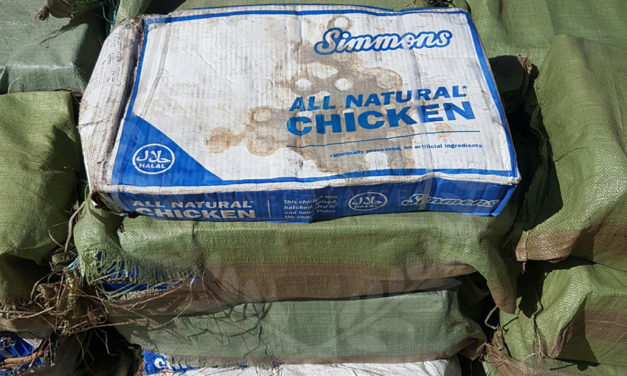 Saisie de 162 cartons de cuisses de poulets par la Brigade maritime des Douanes de Toubacouta