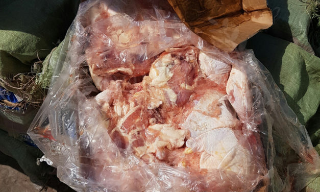 Saisie de 162 cartons de cuisses de poulets par la Brigade maritime des Douanes de Toubacouta