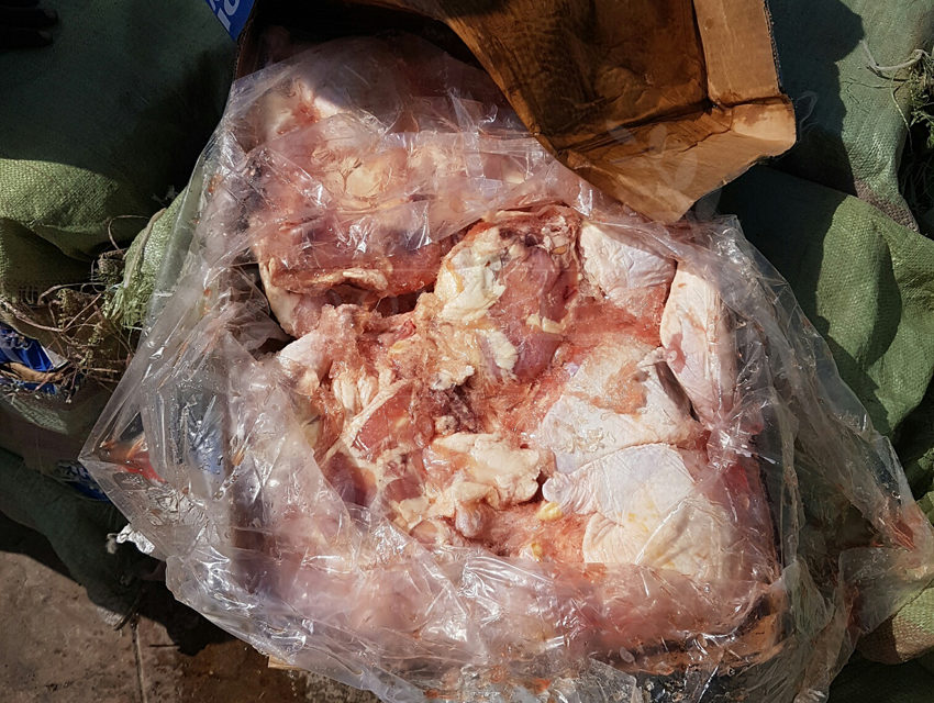 Saisie de 162 cartons de cuisses de poulets par la Brigade maritime des Douanes de Toubacouta