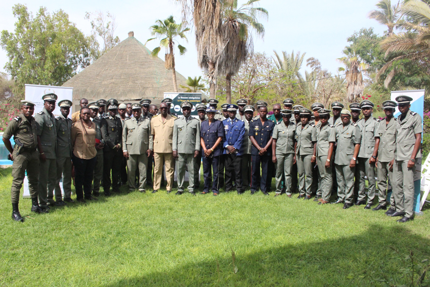 31 officers of Northern customs’ services trained on customs IT platforms