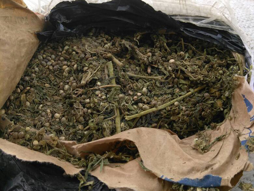 Seizure: 337 kg of Indian hemp seized at Keur Ayib customs office
