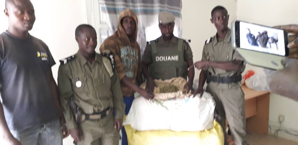 337 kg of Indian hemp Seized by the Kolda Mobile Brigade