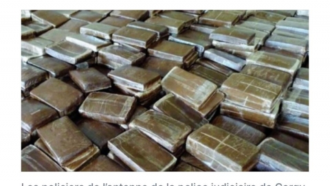 DRUG TRAFFICKING: 1376 kg of Indian hemp in Kidira seized