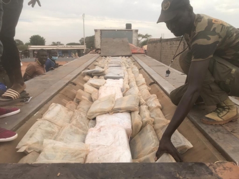 634 kg of Indian hemp seized in Koungheul and Mbour