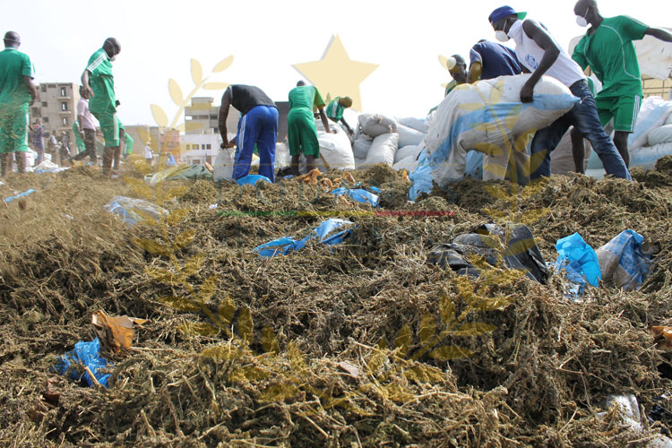 Incinération de près de 4 tonnes de drogues