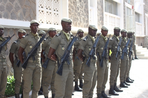Customs arrests several criminals trying to steal important goods from the Mole 8 Cell Scanners
