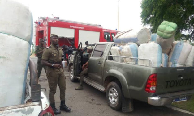 Fight against the illicit traffic of narcotics: Incineration ceremony