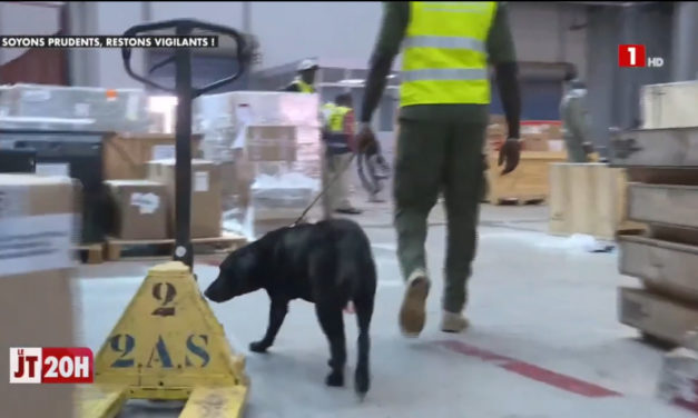 Reportage du 4 avril 2021 (RTS1) : AIBD – Le service des Douanes veille au grain