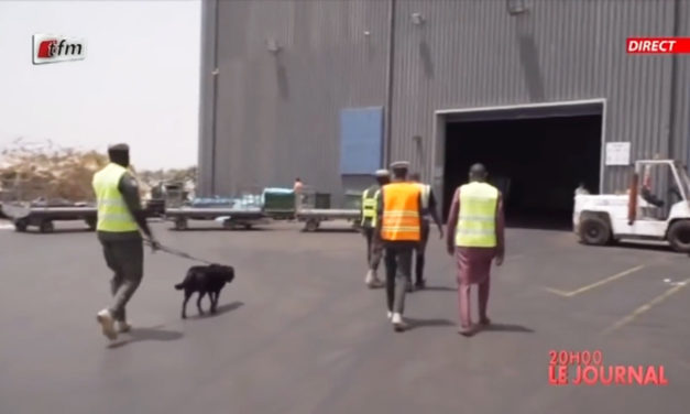 Reportage du 4 avril 2021 – TFM : La Douane à l’AIBD