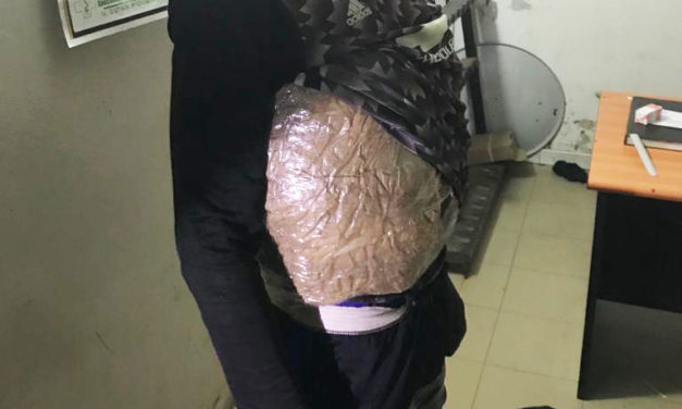 4 kilograms of Indian hemp seized by the Kaolack Customs’ brigade