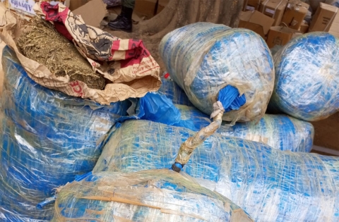 More than one and a half tonnes of Indian hemp seized in Fimela, Nianing, Fatick and Kaolack