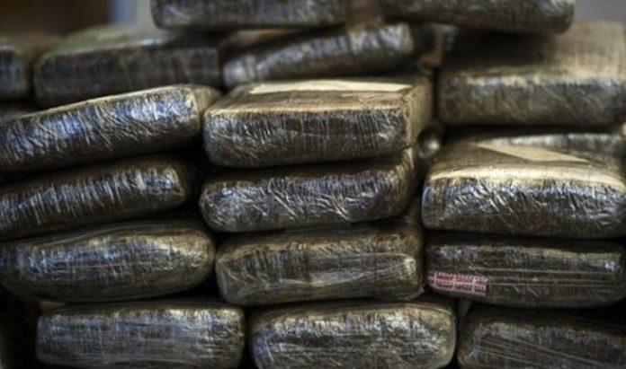 Kaolack: customs seizes one hundred and fifty kilos of Indian hemp