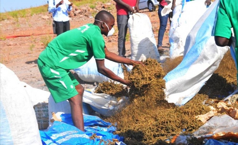 Statistiques provisoires des saisies de drogues 2015