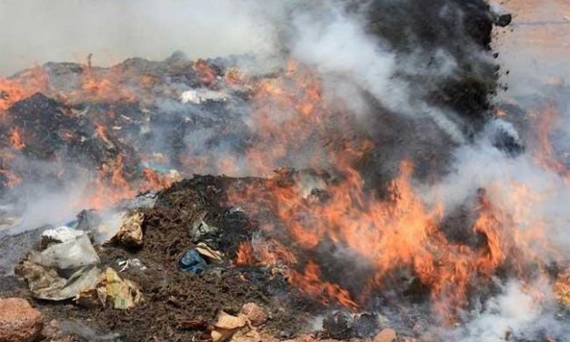 Destruction de drogues saisies par les unités douanières de la région de Kédougou