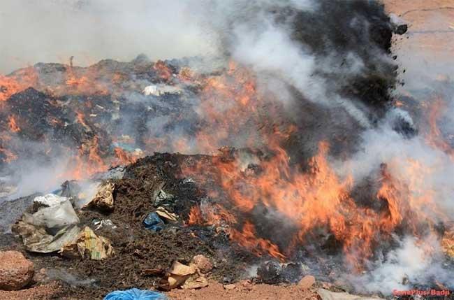 Destruction de drogues saisies par les unités douanières de la région de Kédougou