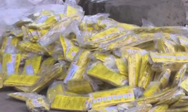 Counterfeit Drug Trafficking: the great catch of Senegal Customs