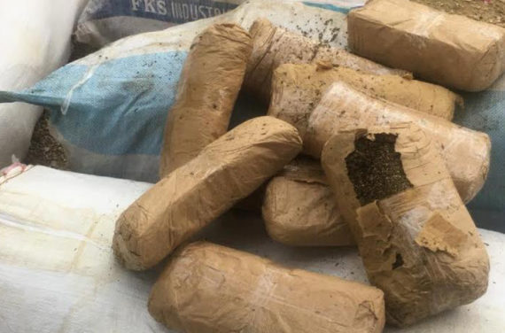 DOUANE, OPERATION « COUP DE POING » : 304 kg de chanvre indien saisis à Mbour par le GPR de Thiès