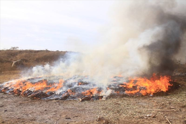 Ziguinchor: Drug and illicit products incineration