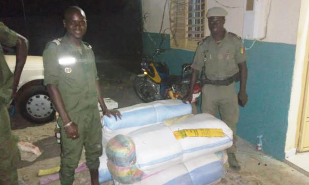 COVID-19: Special Operations continue