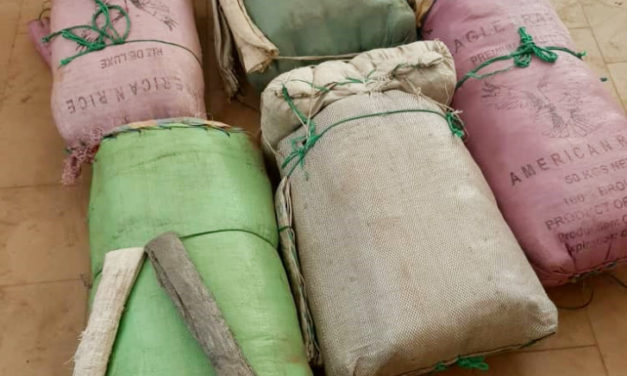 Dismantling drug trafficking networks and corridors: Nioro Customs seized 94 kg of Indian hemp again.