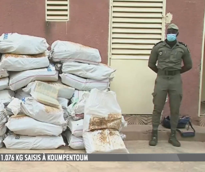 Record seizure: 1,076 kg of Indian hemp carried out by Customs at Koumpentoum