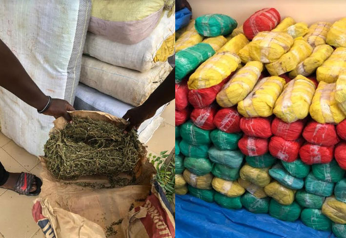 DOUANE, OPERATION « JONCTION » : 537 kg de chanvre indien saisis en 72 heures